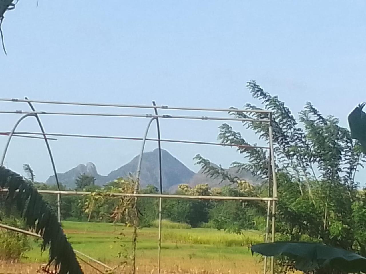 Winstar Homestay Sigiriya Bagian luar foto
