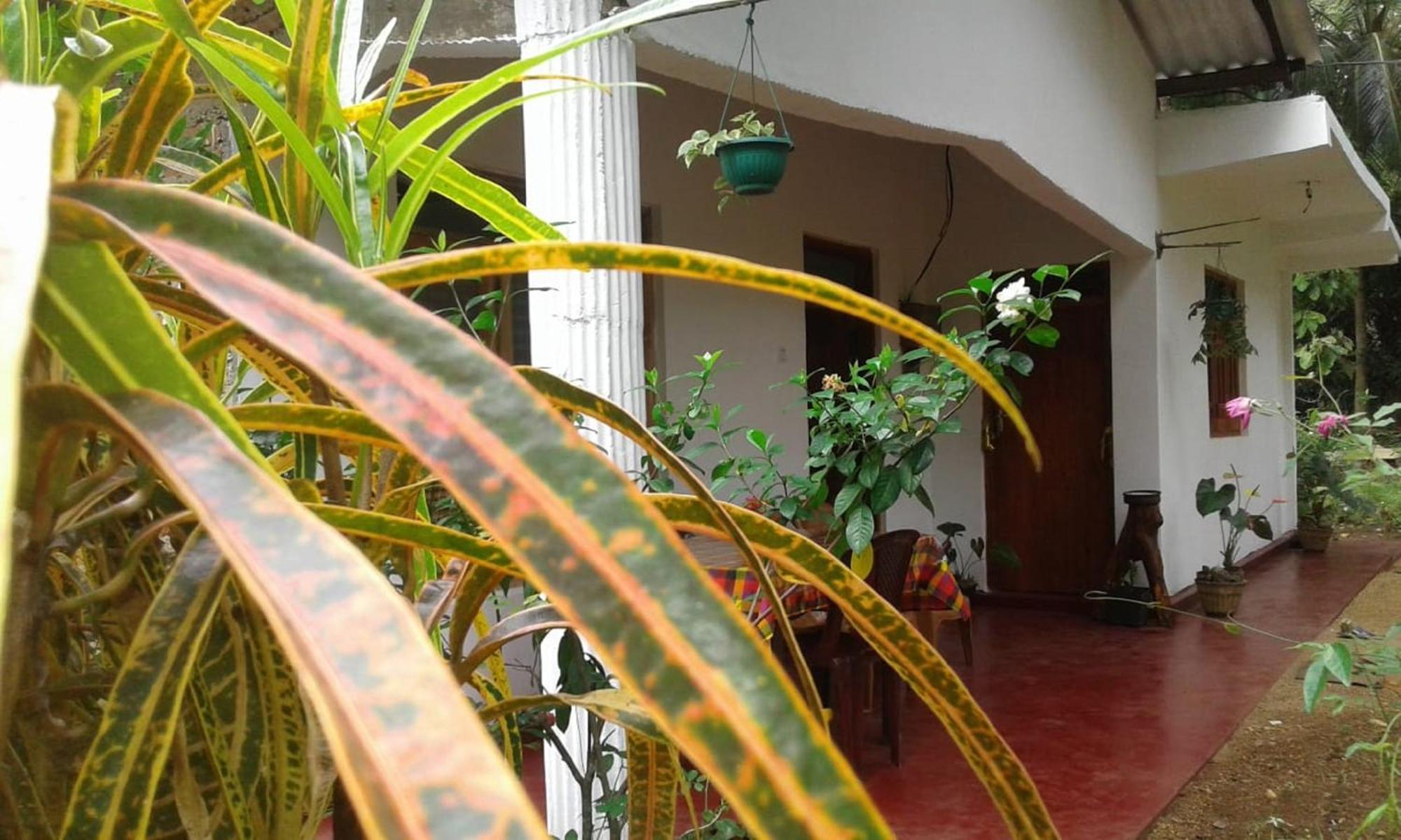 Winstar Homestay Sigiriya Bagian luar foto
